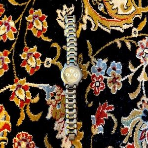 Gini Franco Men’s Stainless Steel Watch with clasp